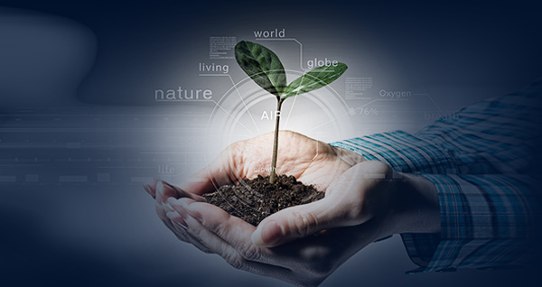 供應(yīng)鏈增值服務(wù)